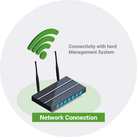 Network