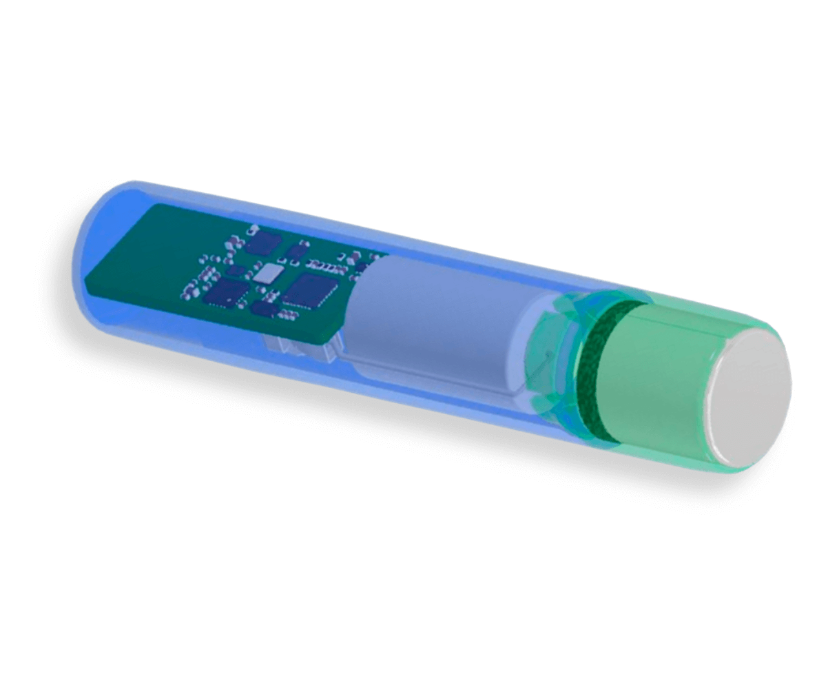 Bolus
